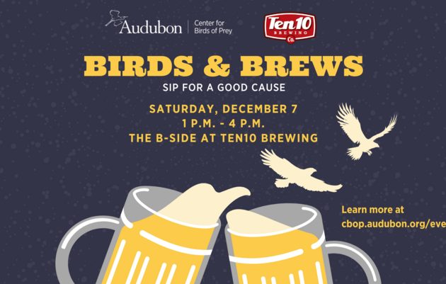 Birds & Brews