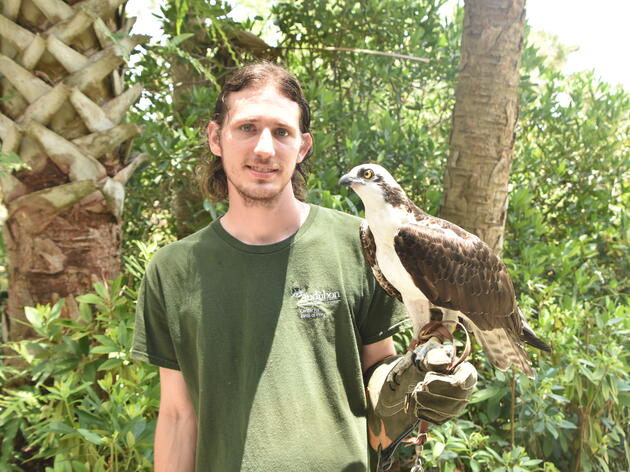 David Fitzpatrick, Raptor Care Assistant
