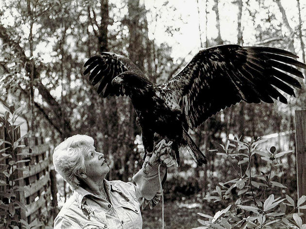 Meet The Woman Who Lived in a Bald Eagle’s Nest to Save Raptors