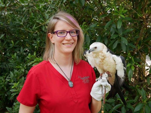 Samantha Little, CVT, Raptor Conservation Specialist